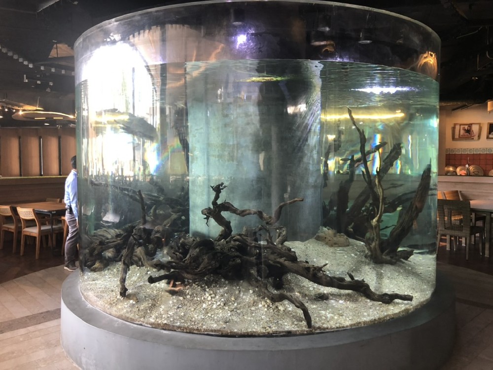 <b>海洋館更偏愛(ài)用亞克力魚(yú)缸的原因</b>