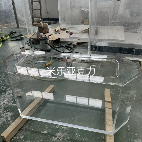 <b>不同類型魚(yú)缸有何獨(dú)特之處</b>